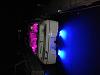 WTS 2000 Z302 limited Edition-boat-3.jpg