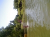 Some pix